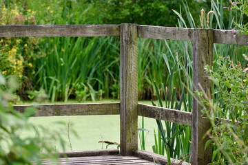 Wooden deck on the pond in the park , England, UK