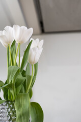 bouquet of white tulips