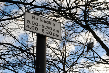 Isolated No Loading Sign on Steel Post beside Leafless Trees 