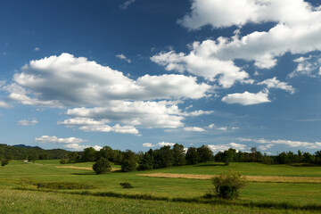 Fototapeta na wymiar field and blue sky on banjska planota slovenia