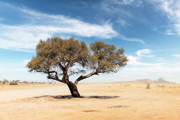 Tupical landscape of Namibia, Africa