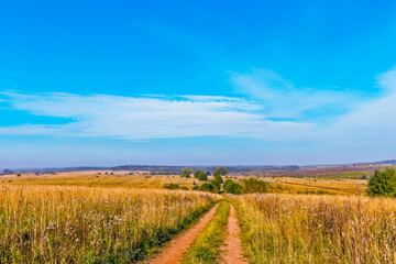 Fototapeta na wymiar landscape with a dirt road in a field in an autumn day
