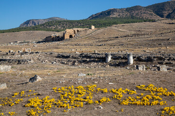 Ruins of Roman city of Hierapolis, Pamukkale, Turkey.