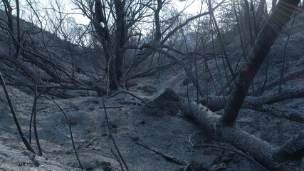 Woolsey Fire, Malibu California Post fire Burnt Mountains
