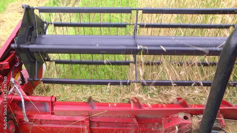 Wall mural close up knife of combine spinning and cutting yellow ears of wheat. farm implements: closeup of a g