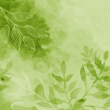 Green floral nature background of plant leaves and flower leaves on border, pastel light and dark green and white watercolor painted leaf outlines in abstract illustration with soft texture