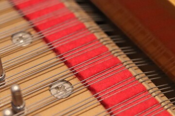 strings in a grand piano with red felt and a screw 