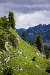 Fototapeta na wymiar Typical panoramic view in the Austrian Alps with mountains and fir trees - Mount Loser Altaussee - travel photography