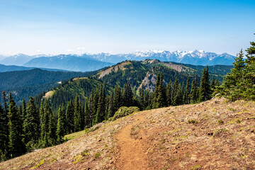 Hiking trails through mountains with forests and snow capped peaks