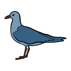 gull. bird. cute. kawaii. port. sea. Ocean. vacation. travel. vector eps 10