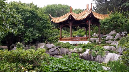 Fototapeta na wymiar Japanese garden in Australia