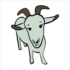 cute goat. beautiful eyes. kawaii. ram. sheep. livestock. pet. farm. village. cartoon character.