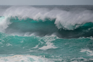 An angry turquoise green color massive rip curl of a wave as it barrels rolls along the ocean. The white mist and froth from the wave are foamy and fluffy. The ocean in the background is deep blue. 