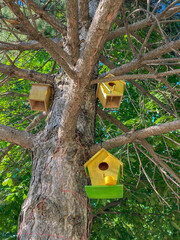 Yellow and green wooden bird cages hanging on the tree. Selective focus.