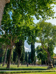 Beautiful view of cloudy sky, green trees and grass in the park.  