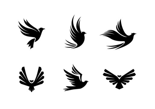 Set of silhouette bird logo design collection