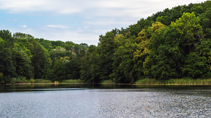 Forest lake landscape