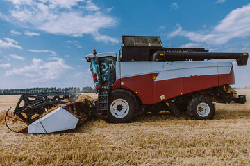 Fototapeta premium Harvesting ripe rye in the field. Natural background