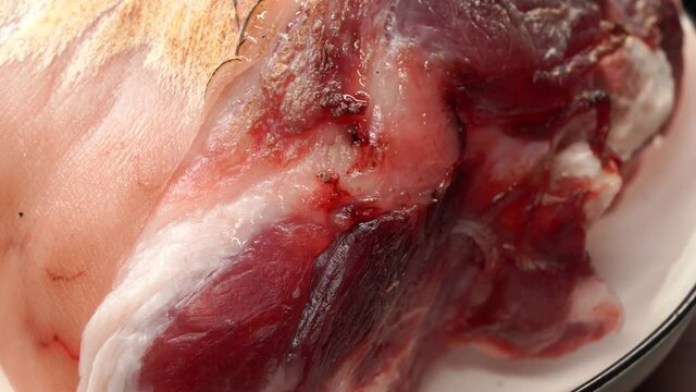 Raw pork knuckle with fresh meat ingredients