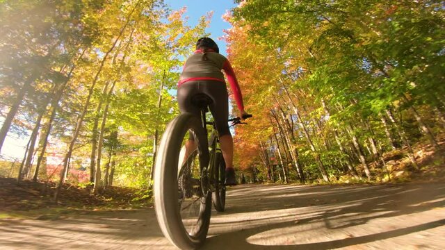 Autumn Mountain biking in fall. Mountain biker riding MTB bicycle on forest gravel trail in fall foliage. Action shot of with colorful leaves. Woman living healthy sports lifestyle outdoors