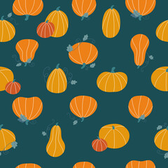 Seamless pattern with hand drawn orange, yellow and red pumpkins on dark green background. Autumn doodle vegetables for Thankful day or Halloween celebration. Vector illustration.