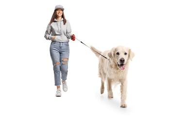 Female student walking a white retriever dog