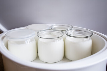 Several glass jars with classic Greek yogurt in the process of cooking in a yogurt maker close-up, homemade yogurt. 