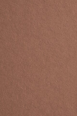 The surface of brown cardboard. Paper texture with cellulose fibers. Spicy mix color vertical background. Textured paperboard graceful backdrop. Top-down. Macro