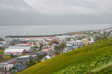 Fototapeta na wymiar Town of Sudureyri in sugandafjordur in Iceland
