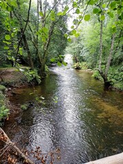 Curso de un río en el interior de Galicia