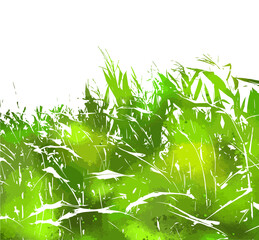 Green Corn field. Silhouettes of nature. Vector illustration