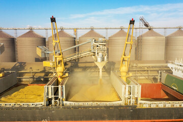 Loading grain into holds of sea cargo vessel through an automatic line in seaport from silos of grain storage. Bunkering of dry cargo ship with grain