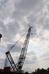 cranes in the harbor