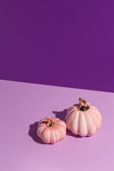 Two pink decorative pumpkins on lilac and purple background in hard light with copy space. - 452064500