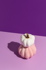 Two decorative pumpkins on lilac and purple background in hard light with copy space. - 452064516