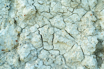 White clay texture, gray mud cracked background
