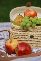 picnic on striped blanket at summer park apples pears grapes tomatoes cookies drinks