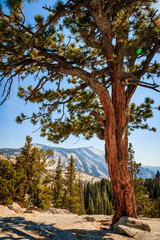 Tioga Pass in Sierra Nevada mountains, California, USA