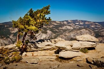 Rocks and Trees on Sentinel Dome,  Yosemite National Park, California, USA