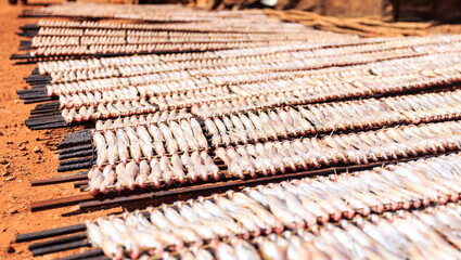 Dried fish on dirt road in South east Asia