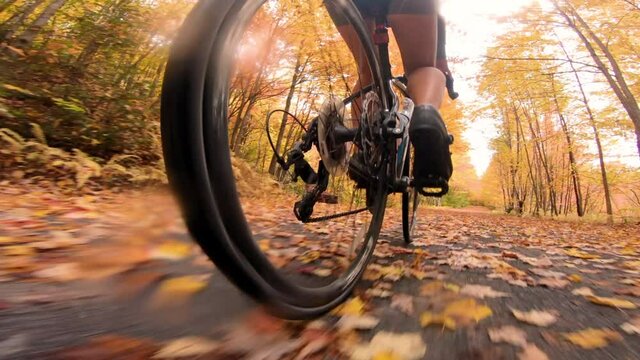 Road biking in Fall on forest path in rain with colorful autum leaves. Road biker riding bicycle in fall foliage. Woman living healthy sports lifestyle outdoors