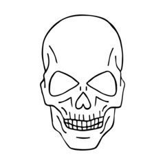 Vector hand drawn doodle sketch human skull isolated on white background