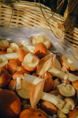 Wicker basket with mushrooms. Daylight, close-up, toning, outdoors.