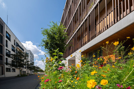 Neubau, Blumen, Strasse