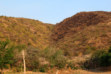 Villa Carlos Paz, Córdoba, Argentina. 10-18-2020. Wide panorama of burned mountainside after forest fire, versus green mountainside.