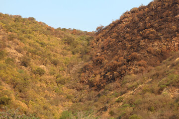 Villa Carlos Paz, Córdoba,Argentina. 10-18-2020. Mountainside burned after big forest fire, in contrast with green mountainside.