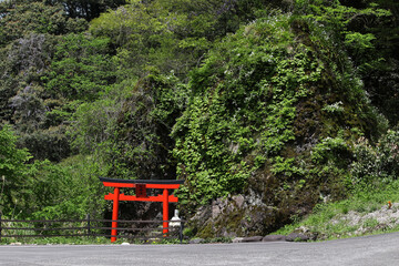 赤い鳥居と植物に覆われた大きな岩