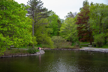 A still pond of water, in a park with trees reflecting. There are tall lush green trees surrounding the water. The sky is grey. There are rocks and park benches surrounding the edge of the pond. 