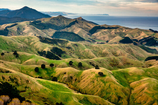 An aerial view of the rolling hills of rural  farmland in remote Wairarapa near the east coast