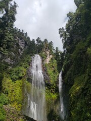 waterfall in the forest